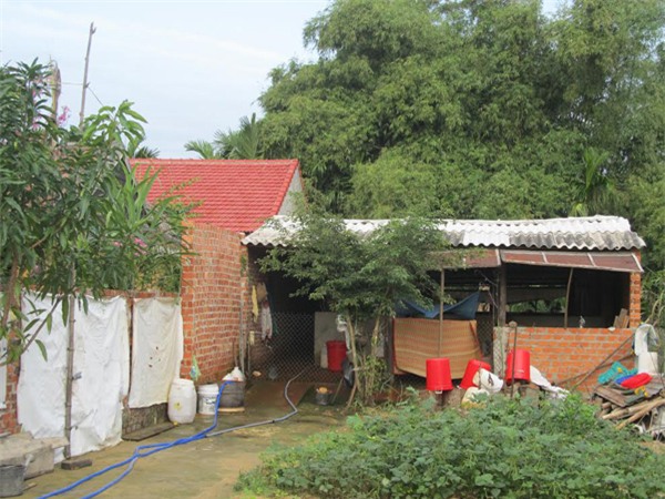 ô nhiễm môi trường, nuôi heo, kiện cán bộ xã, bác sĩ tây đi kiện