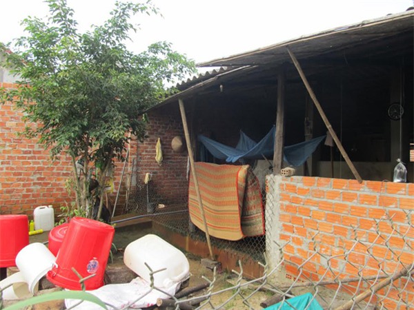 ô nhiễm môi trường, nuôi heo, kiện cán bộ xã, bác sĩ tây đi kiện