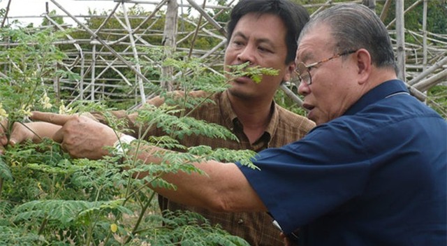 Gặp lại người từng đề xuất gộp Tết âm với Tết dương