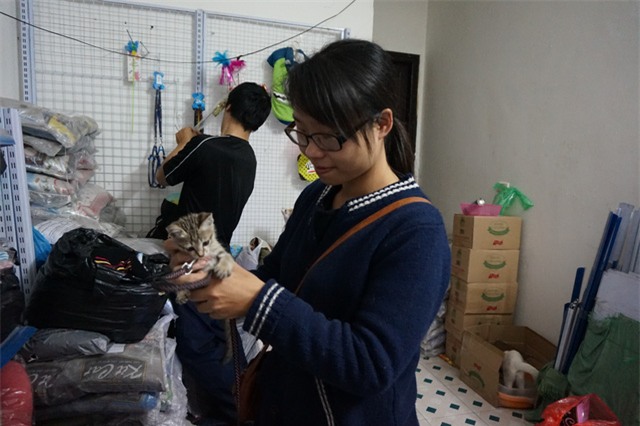  Bạn Nguyễn Khánh Vân điều phối viên bế trên tay chú mèo con vừa được cứu về. Ảnh: Khánh Hải 