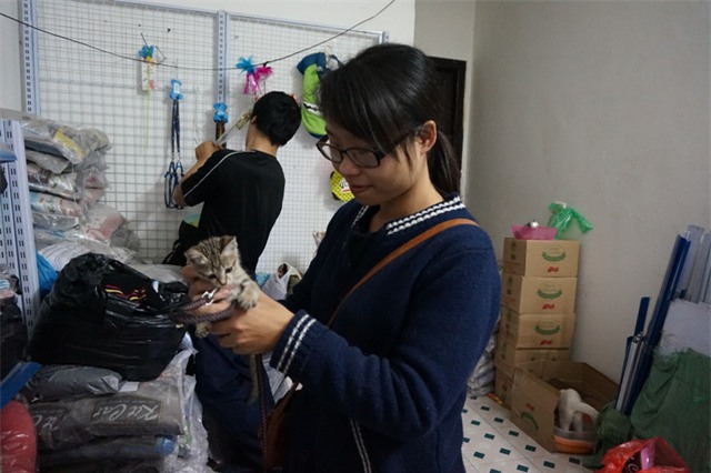 Bạn Nguyễn Khánh Vân điều phối viên bế trên tay chú mèo con vừa được cứu về. Ảnh: Khánh Hải