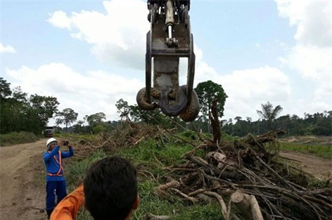 Chú trăn này được các công nhân xây dựng phát hiện ở đập Belo Monte ở Brazil.