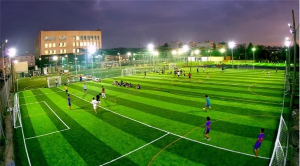 Hiểm họa ung thư từ việc chơi bóng trên sân cỏ nhân tạo - Ảnh 3.