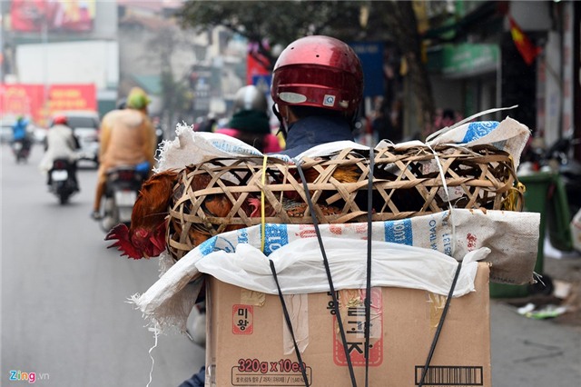 Hà Nội, Sài Gòn ngập tràn không khí Tết