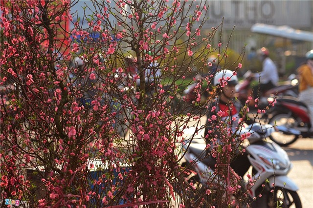 Hà Nội, Sài Gòn ngập tràn không khí Tết