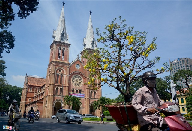 Hà Nội, Sài Gòn ngập tràn không khí Tết