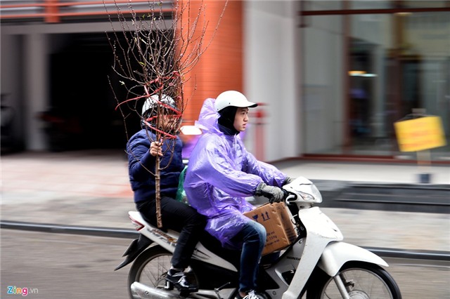 Hà Nội, Sài Gòn ngập tràn không khí Tết