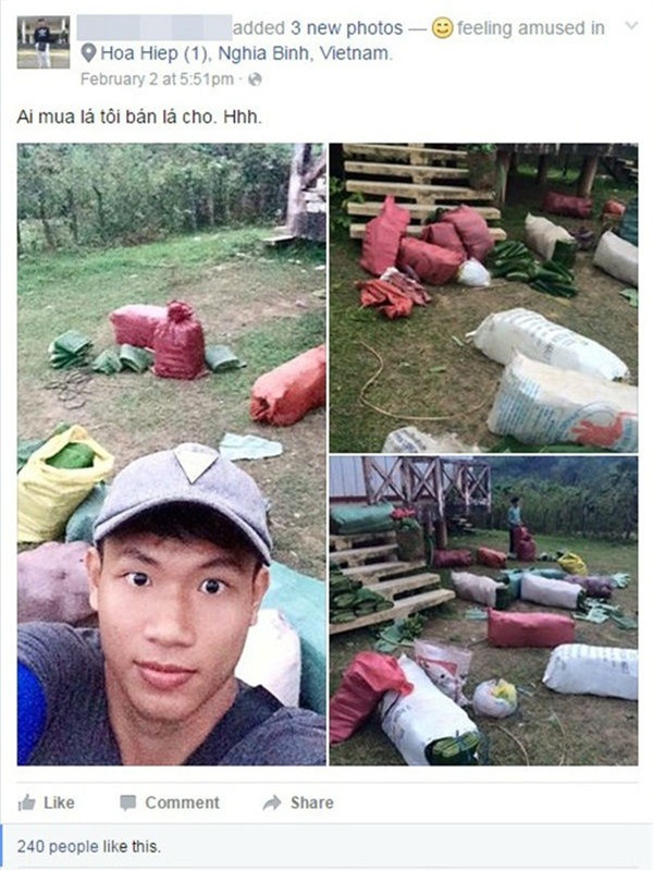 nghi tet, cau thu hagl ve que... ban chuoi kiem tien hinh anh 2