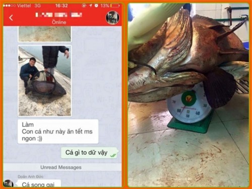 món ăn ngày tết, gây xôn xao, tết nguyên đán, nam thanh niên, Cộng đồng mạng, con cá, khoe, người, nhà, đến, đón