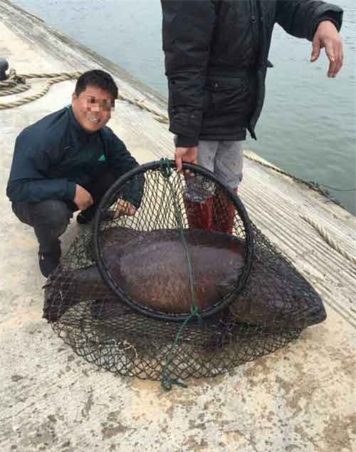 món ăn ngày tết, gây xôn xao, tết nguyên đán, nam thanh niên, Cộng đồng mạng, con cá, khoe, người, nhà, đến, đón