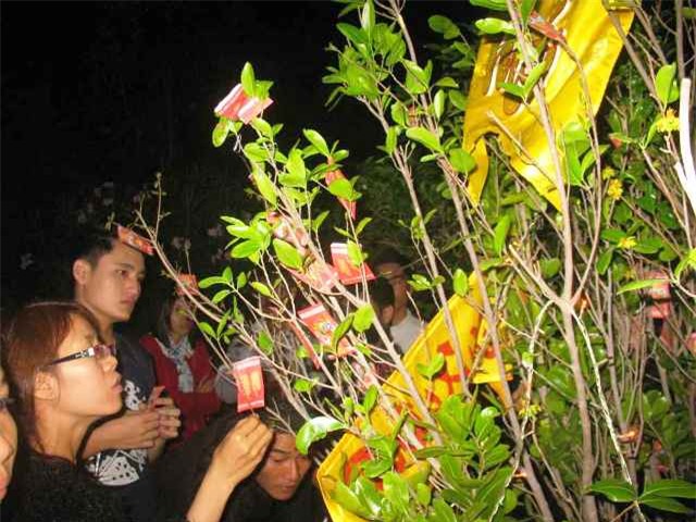 Hái lộc trong chùa, tức là chúng ta không tôn trọng các vị Thần