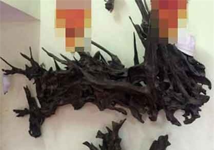 đại gia, chơi tết, đốt tiền, ngày tết, đại gia việt, thú chơi, mua đầu, trầm hương, ăn chơi