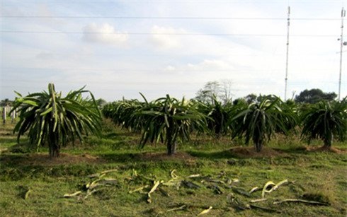 nam than ke chuyen lam an cua nhung nguoi tuoi khi hinh anh 1