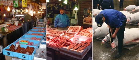 cá ngừ, thủ đô Tokyo, trứng cá muối, đấu giá cá ngừ, cá ngừ vây xanh, Nhật Bản, chợ cá