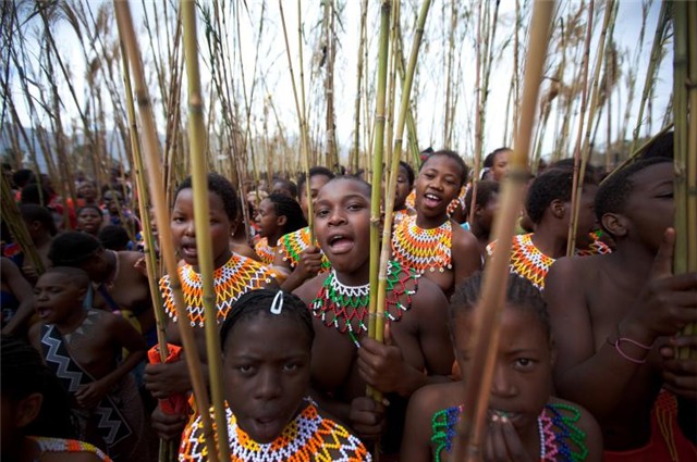 vi vua an choi khet tieng nhat qua dat hinh anh 2