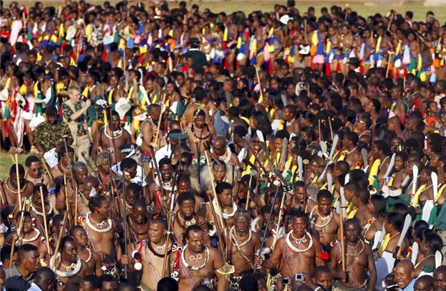 vi vua an choi khet tieng nhat qua dat hinh anh 3