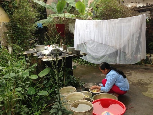 Nguyễn Đăng Hành, người có 16 vợ, Đa Tốn, đa tình...