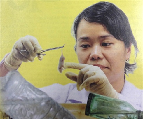 Thạc sĩ, nữ thạc sĩ, Viện Pasteur TP.HCM