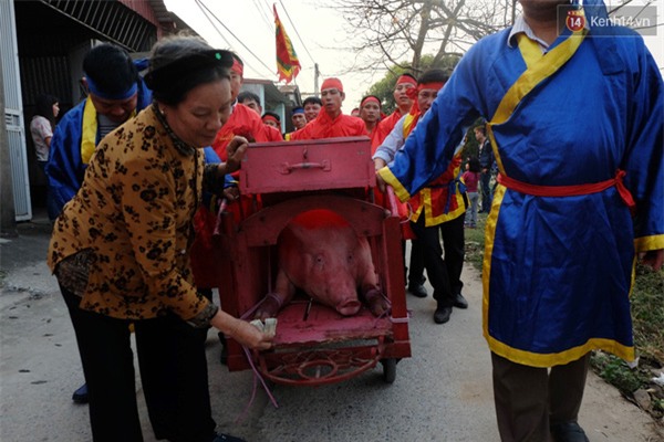 Người dân Bắc Ninh vuốt ve 2 “ông ỉn” trước giờ chém lợn - Ảnh 15.