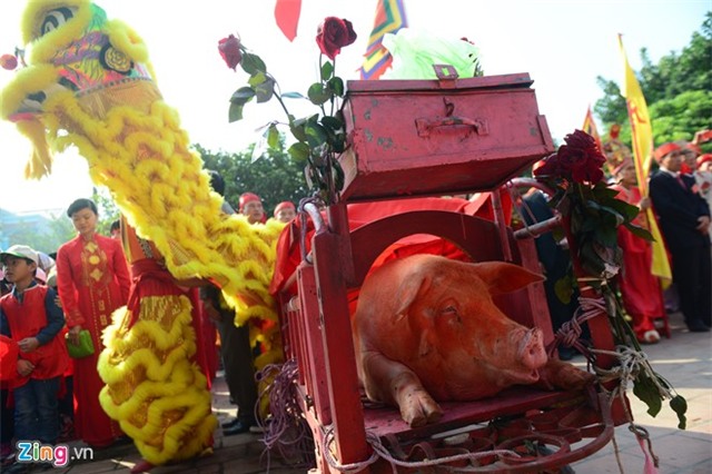 Lễ hội chém lợn khai đao trong phòng kín