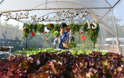 Thái Lan, Yingluck Shinawatra, họp báo, gặp gỡ, phóng viên, rau, khoe, tự trồng, xinh đẹp, thế giới, Vietnamnet