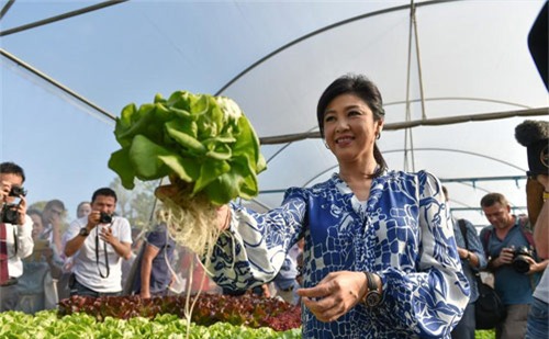 Thái Lan, Yingluck Shinawatra, họp báo, gặp gỡ, phóng viên, rau, khoe, tự trồng, xinh đẹp, thế giới, Vietnamnet