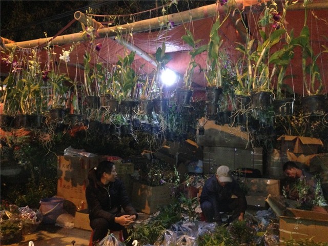 Chợ Viềng, phiên chợ Viềng, chợ Viềng cầu may, quây nghĩa trang, bãi gửi xe