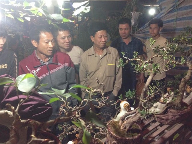 chợ Viềng, chợ âm phủ, Nam Định, cây cảnh, mai chiếu thủy, Phủ Giầy