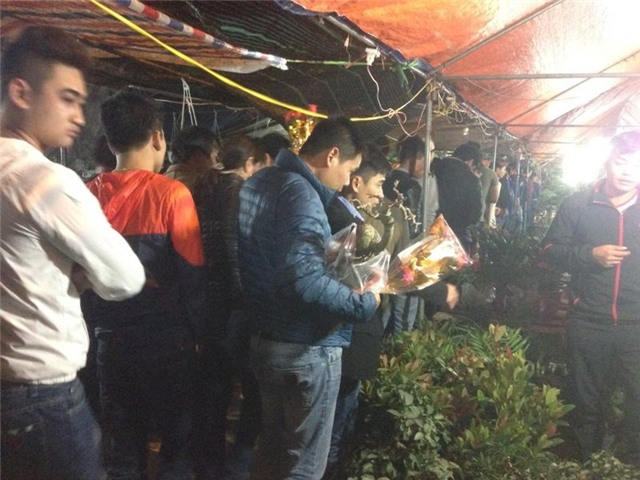 chợ Viềng, chợ âm phủ, Nam Định, cây cảnh, mai chiếu thủy, Phủ Giầy