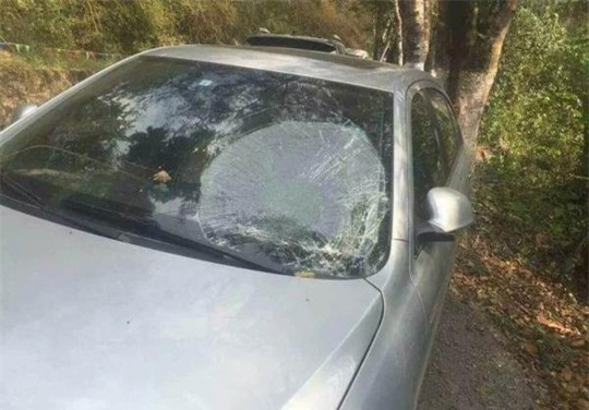 Hậu quả để lại do cơn giận của chú voi nhạy cảm. Ảnh: New China