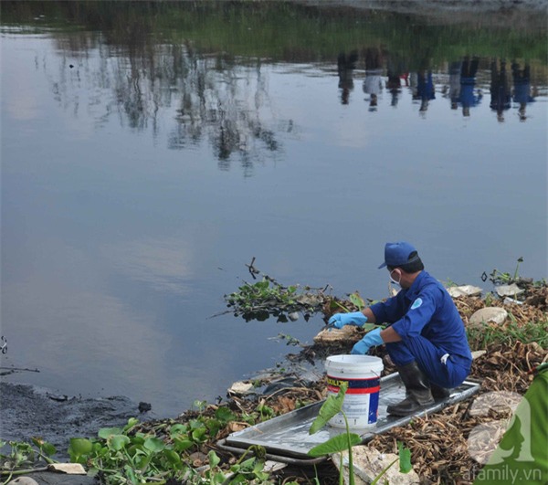 thi thể không đầu, bờ kênh, kênh Tham Lương