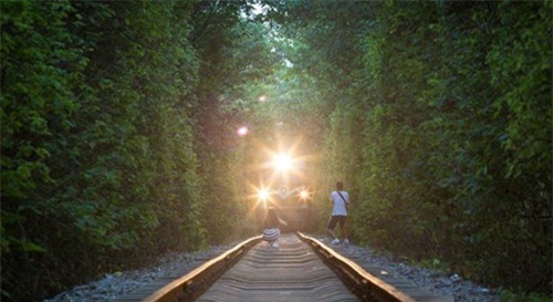 chup anh ‘tu suong’, y thuc di dau het roi? - 2