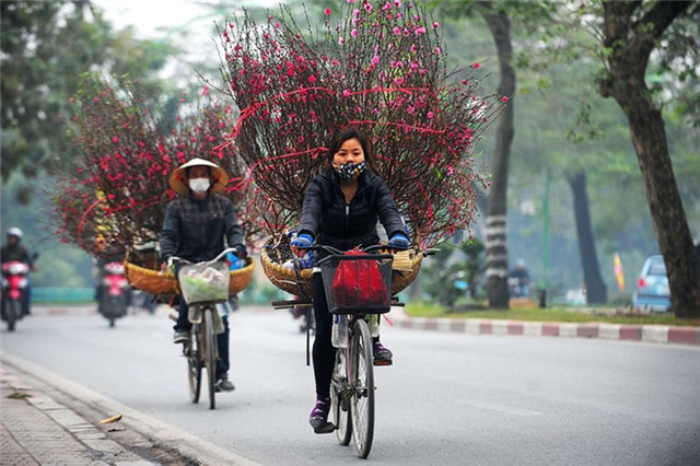 thu choi hoa dao ram thang gieng doc dao cua nguoi ha noi hinh anh 11