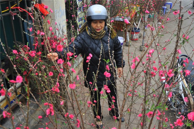 thu choi hoa dao ram thang gieng doc dao cua nguoi ha noi hinh anh 4