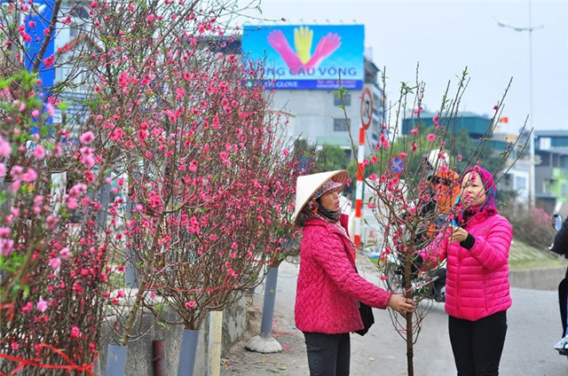 thu choi hoa dao ram thang gieng doc dao cua nguoi ha noi hinh anh 6