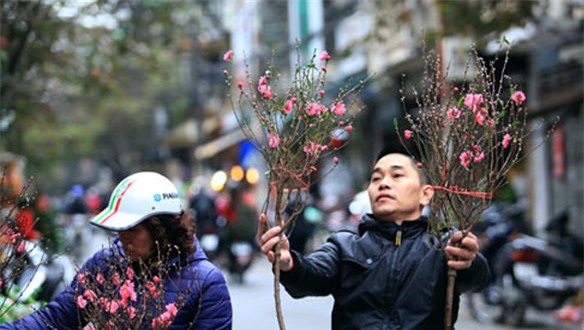 thu choi hoa dao ram thang gieng doc dao cua nguoi ha noi hinh anh 7