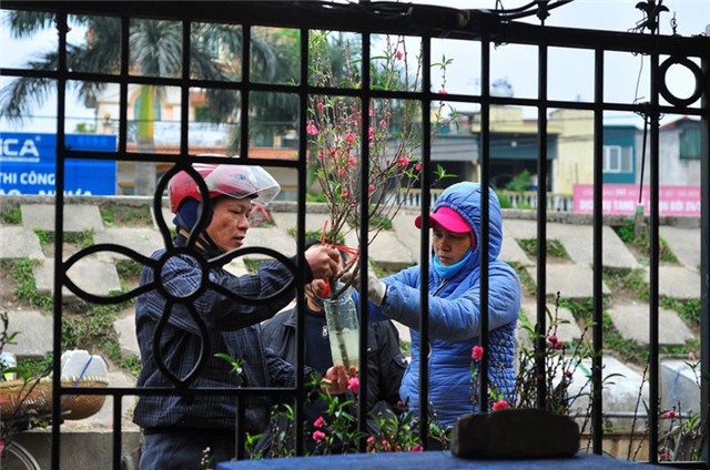 thu choi hoa dao ram thang gieng doc dao cua nguoi ha noi hinh anh 9