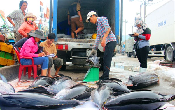 gia ca ngu dai duong chi con 90.000 dong/kg hinh anh 1