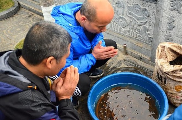 Ốc phóng sinh đội giá gấp 8 trong ngày rằm tháng Giêng