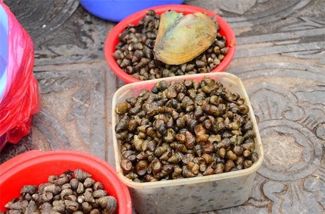 Ốc phóng sinh đội giá gấp 8 trong ngày rằm tháng Giêng