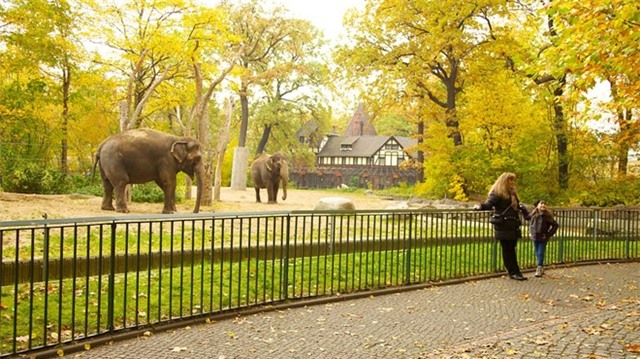 8 vườn thú có quy mô khổng lồ nhất thế giới