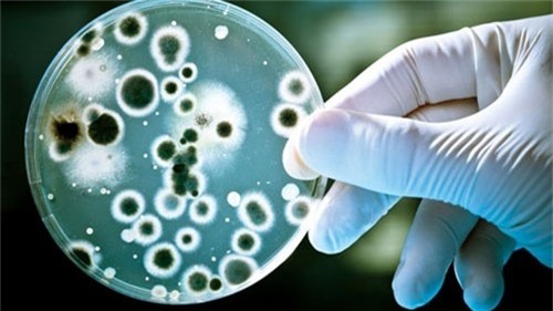 Vì sao kháng sinh đang ngày càng mất tác dụng?