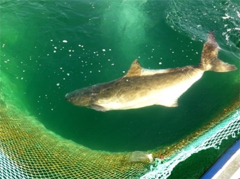 Ngắm cảnh đẹp tuyệt vời trên biển Đầm Môn - 5