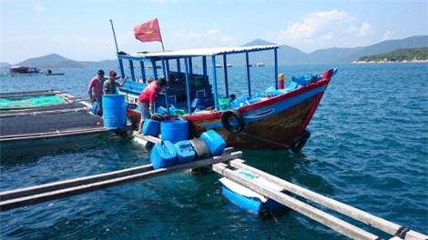 Ngắm cảnh đẹp tuyệt vời trên biển Đầm Môn - 8