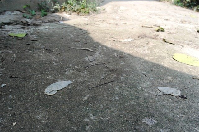 Bao cao su vương vãi mặt đất.