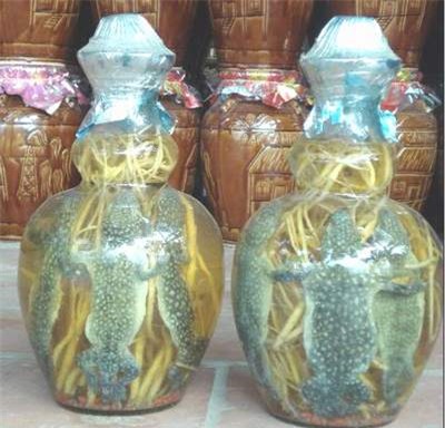 cậu nhỏ, tinh binh, sex, quan hệ tình dục