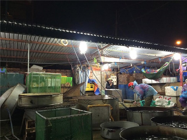 chợ cá, chợ đầu mối tự phát, Hà Nội, chợ Hà Nội, tiểu thương, chợ cá Lê Văn Lương