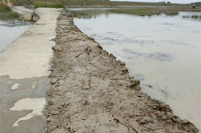 Đạo diễn 'King Kong' yêu cầu dâng nước ở đầm Vân Long