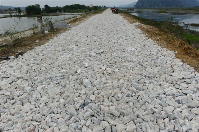 Đạo diễn 'King Kong' yêu cầu dâng nước ở đầm Vân Long