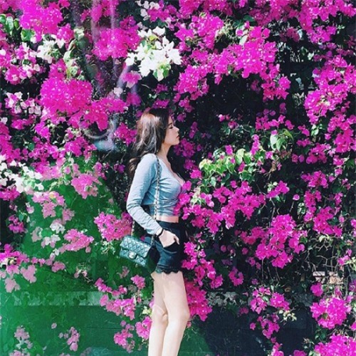 midu , thu thảo , kỳ duyên , phạm hương , hà hồ